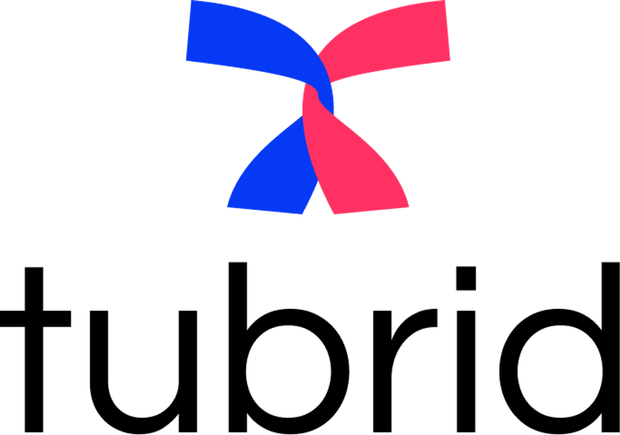 Modern logo design for tubrid.com